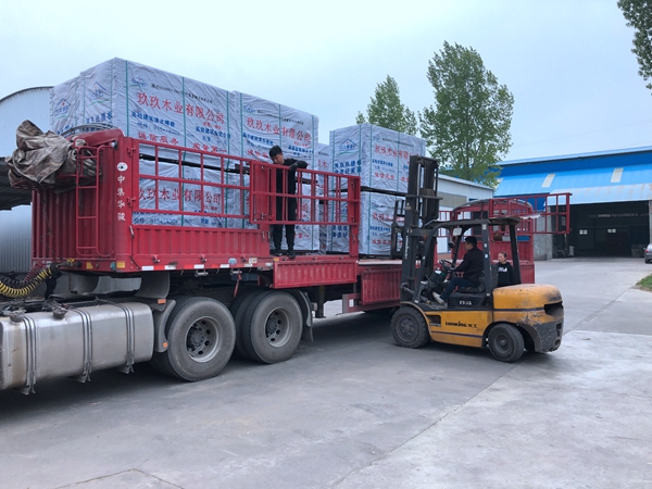 發(fā)貨現(xiàn)場(chǎng)